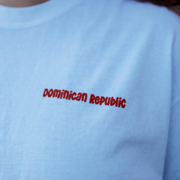 Light Blue Vintage Van T-Shirt